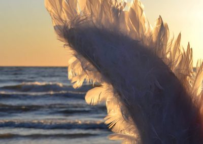 20200601_073843-400x284 photographylove gallery