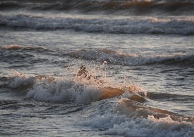 esopot_1035-400x284 ESOPOT