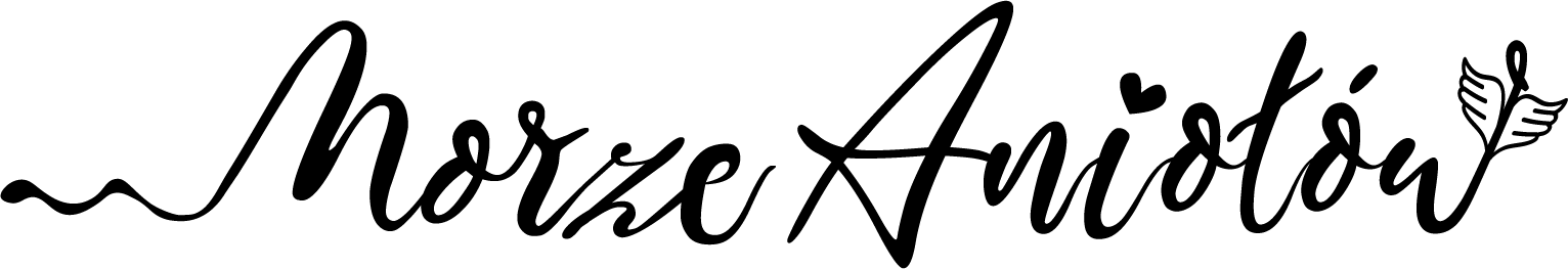 Morze-Aniolow-logo-poziom Męska koralowa bluza Morza Aniołów